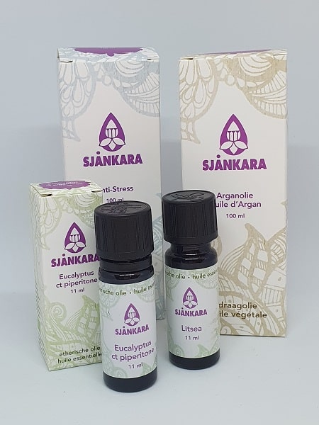 Sjankara